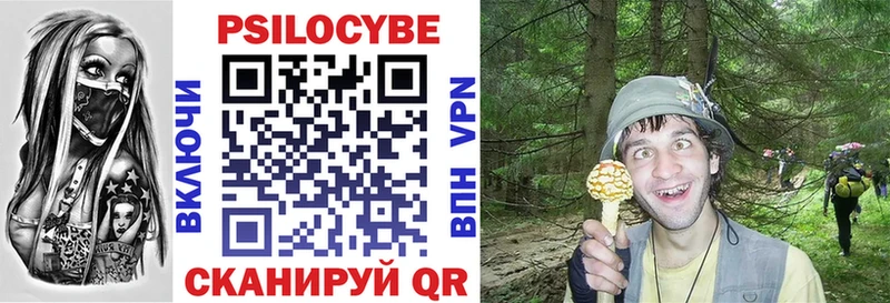 Псилоцибиновые грибы Psilocybine cubensis  Евпатория 